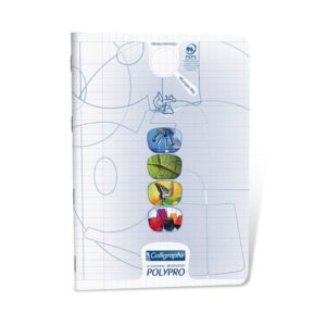 Cahier TP 24x32 96p Seyes (PRO)