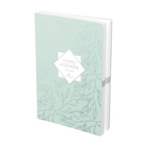 Agenda 120x170 Rase vif Mix et Match 1j/p 320p -Hamelin-
