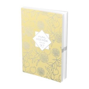 Agenda 120x170 Rase vif Mix et Match 1j/p 320p -Hamelin-