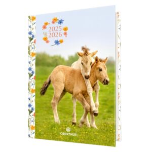 Agenda 1 jour Cheval Poulains - Oberthur -