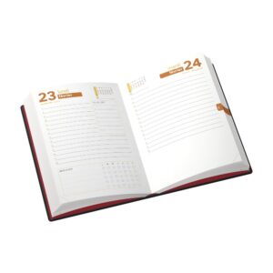 Agenda Etudiant mani1J/1P 352p - Hamelin