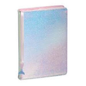 Agenda journalier ARIEL - Exacompta