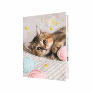 Agenda 1jour CHATON TENDRE DUO - Oberthur -